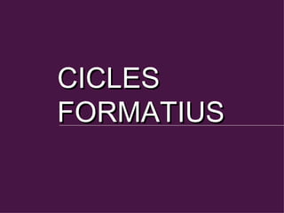 CICLES FORMATIUS 
