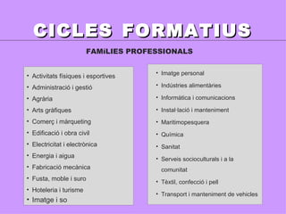 CICLES   FORMATIUS Imatge personal    Indústries alimentàries    Informàtica i comunicacions  Instal·lació i manteniment    Maritimopesquera    Química    Sanitat    Serveis socioculturals i a la comunitat    Tèxtil, confecció i pell    Transport i manteniment de vehicles FAMíLIES PROFESSIONALS Activitats físiques i esportives    Administració i gestió    Agrària    Arts gràfiques    Comerç i màrqueting    Edificació i obra civil    Electricitat i electrònica   Energia i aigua    Fabricació mecànica    Fusta, moble i suro    Hoteleria i turisme Imatge i so 