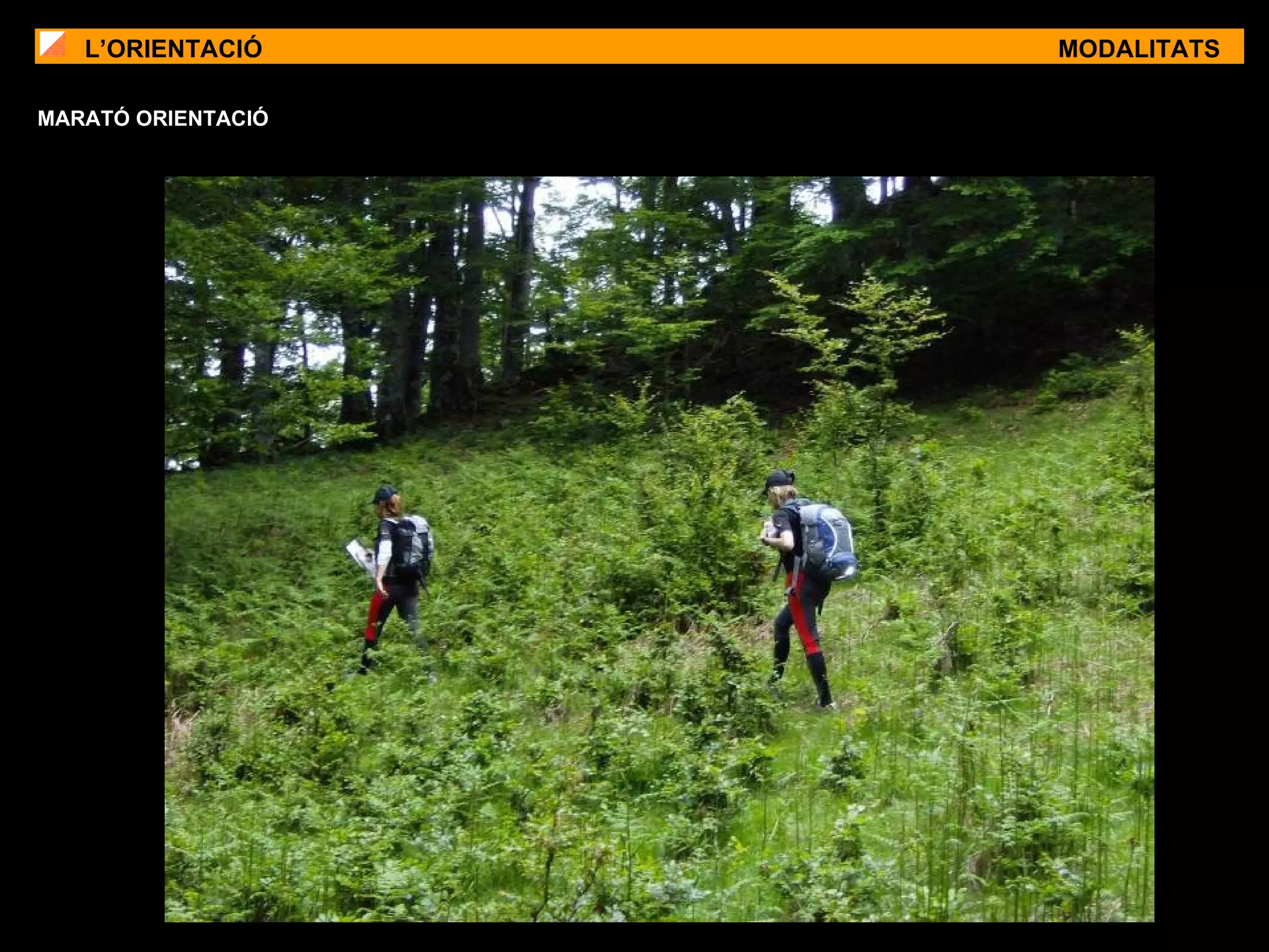 L’ORIENTACIÓ MODALITATS MARATÓ ORIENTACIÓ 