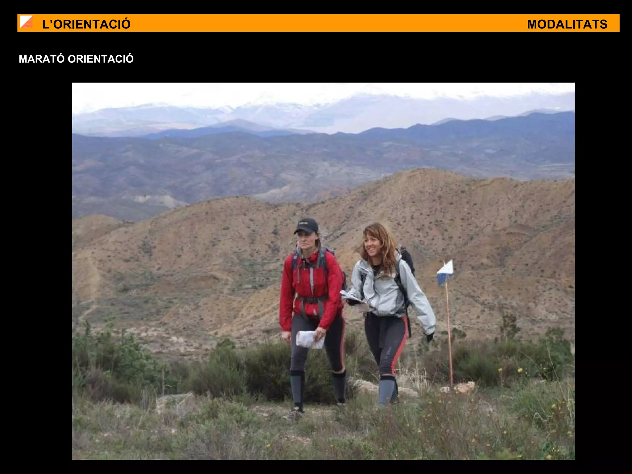 L’ORIENTACIÓ MODALITATS MARATÓ ORIENTACIÓ 