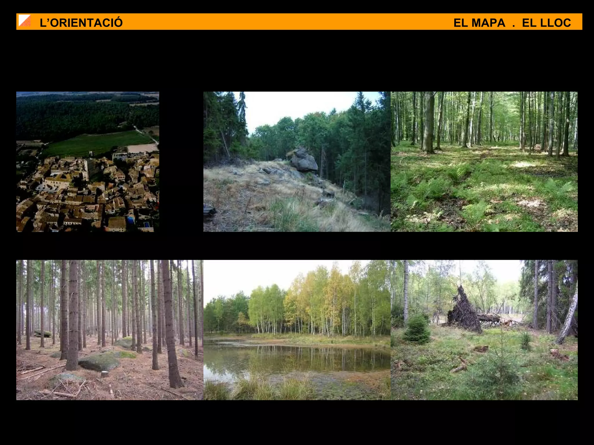 L’ORIENTACIÓ EL MAPA  .  EL LLOC 