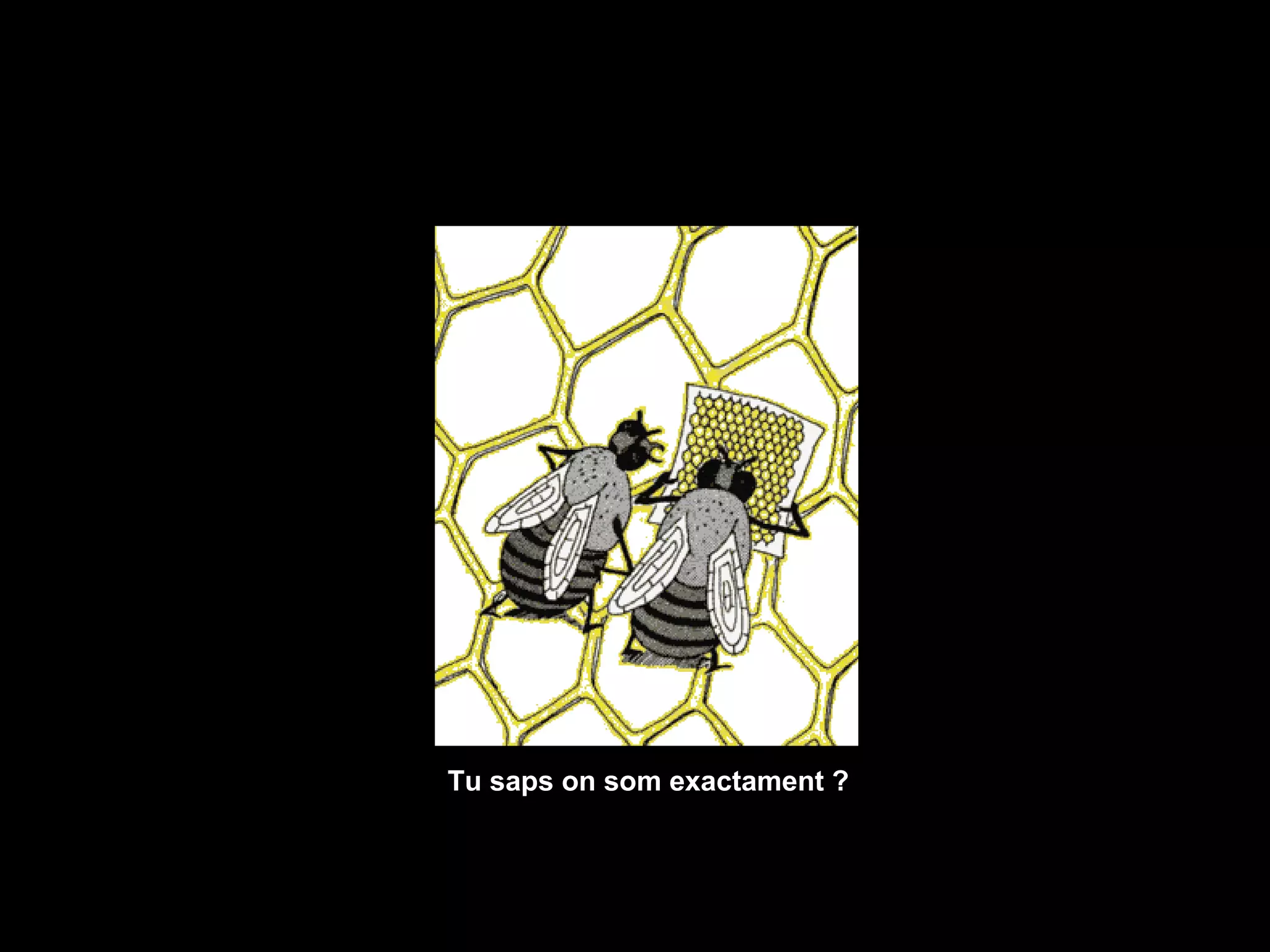 Tu saps on som exactament ? 