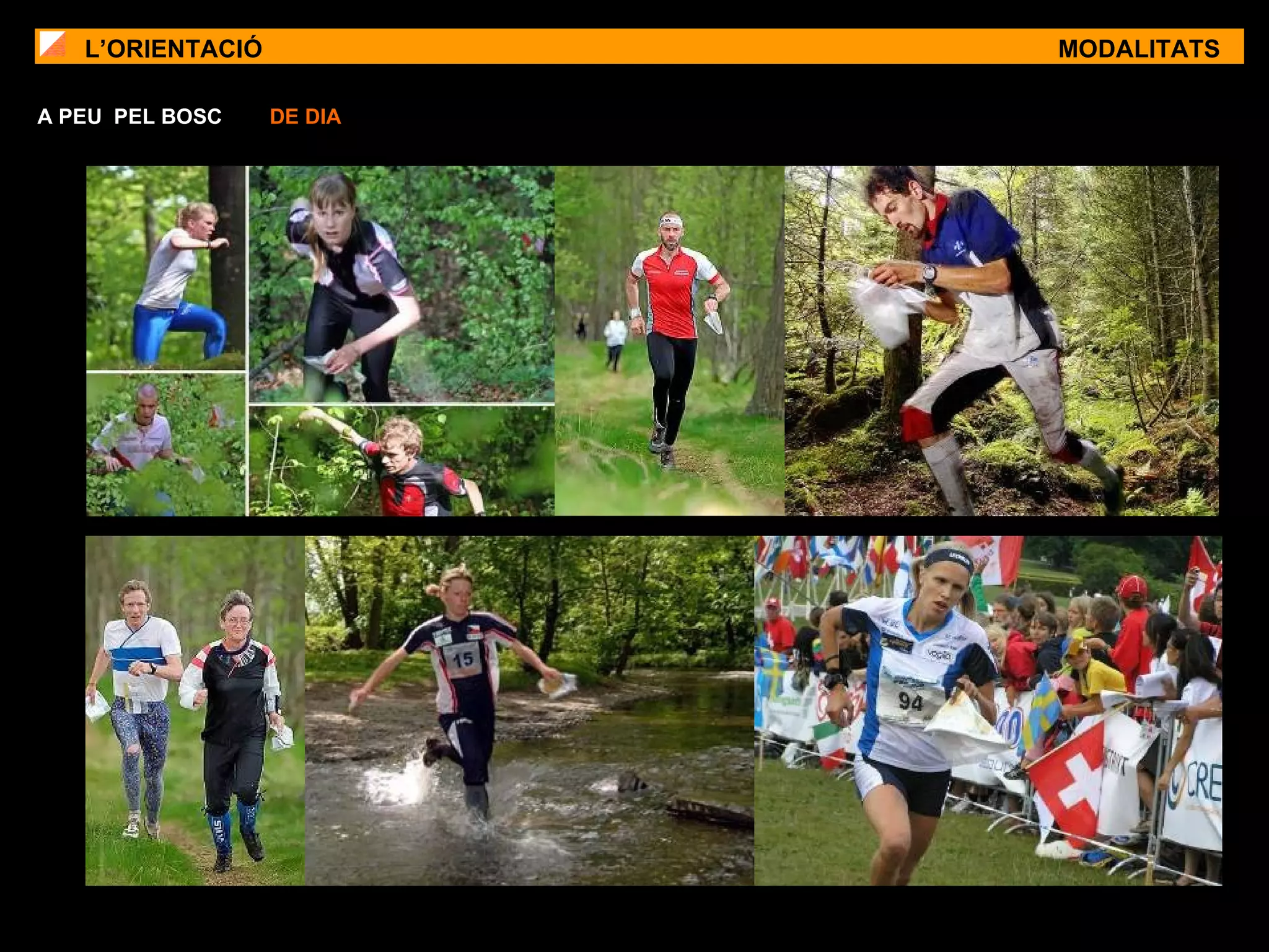 L’ORIENTACIÓ MODALITATS A PEU  PEL BOSC  DE DIA   