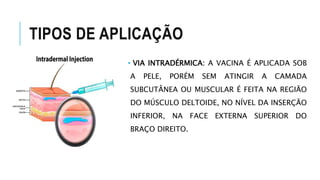 TIPOS DE APLICAÇÃO
• VIA INTRADÉRMICA: A VACINA É APLICADA SOB
A PELE, PORÉM SEM ATINGIR A CAMADA
SUBCUTÂNEA OU MUSCULAR É FEITA NA REGIÃO
DO MÚSCULO DELTOIDE, NO NÍVEL DA INSERÇÃO
INFERIOR, NA FACE EXTERNA SUPERIOR DO
BRAÇO DIREITO.
 