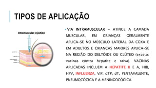 TIPOS DE APLICAÇÃO
• VIA INTRAMUSCULAR - ATINGE A CAMADA
MUSCULAR, EM CRIANÇAS GERALMENTE
APLICA-SE NO MÚSCULO LATERAL DA COXA E
EM ADULTOS E CRIANÇAS MAIORES APLICA-SE
NA REGIÃO DO DELTÓIDE OU GLÚTEO (exceto:
vacinas contra hepatite e raiva). VACINAS
APLICADAS INCLUEM A HEPATITE B E A, HIB,
HPV, INFLUENZA, VIP, dTP, dT, PENTAVALENTE,
PNEUMOCÓCICA E A MENINGOCÓCICA.
 