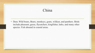 China
• Deer, Wild boars, Bears, monkeys, goats, wildcat, and panthers. Birds
include pheasant, geese, flycatchers, kingfisher, larks, and many other
species. Fish abound in coastal areas.
 