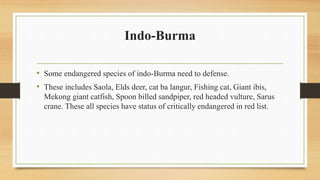 Indo-Burma
• Some endangered species of indo-Burma need to defense.
• These includes Saola, Elds deer, cat ba langur, Fishing cat, Giant ibis,
Mekong giant catfish, Spoon billed sandpiper, red headed vulture, Sarus
crane. These all species have status of critically endangered in red list.
 