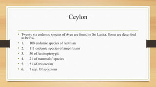 Ceylon
• Twenty six endemic species of Aves are found in Sri Lanka. Some are described
as below.
• 1. 108 endemic species of reptilian
• 2. 111 endemic species of amphibians
• 3. 50 of Actinopterygii.
• 4. 21 of mammals’ species
• 5. 51 of crustacean
• 6. 7 spp. Of scorpions
 