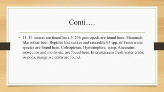 Conti….
• 11, 14 insects are found here.5, 246 gastropods are found here. Mammals
like sothar beer. Reptiles like snakes and crocodile.93 spp. of Fresh water
species are found here. Coleopteran, Hymenoptera, wasp, Aneuratus,
mosquitos and moths etc. are found here. In crustaceans fresh water crabs,
isopods, mangrove crabs are found.
 