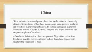 China
• China includes the natural green plants due to alteration in climates by
altitudes. Some stands of bamboo, maple, palm trees, grow in lowlands
and broadleaf evergreen plants grow. In subtropical region evergreen
forests are present. Cedars, Cypress, Junipers and maple represent the
temperate regions of the china.
• In Southeast Asia tropical plants are present. Vegetation varies from
deciduous forest to evergreen forest. In Low Island due to poor soil
structure the vegetation is poor.
 