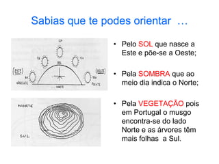 Sabias que te podes orientar …
• Pelo SOL que nasce a
Este e põe-se a Oeste;
• Pela SOMBRA que ao
meio dia indica o Norte;
• Pela VEGETAÇÃO pois
em Portugal o musgo
encontra-se do lado
Norte e as árvores têm
mais folhas a Sul.
 