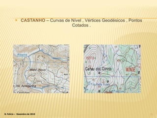CASTANHO –  Curvas de Nível , Vértices Geodésicos , Pontos Cotados . 