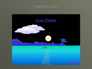 FASES DA LUA 