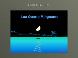 FASES DA LUA 