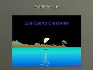 FASES DA LUA 