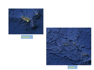Madeira Açores 