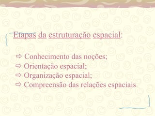 Etapas   da   estruturação   espacial :     Conhecimento das noções;     Orientação espacial;     Organização espacial;     Compreensão das relações espaciais . 