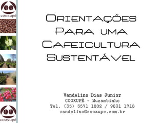 Orientações
 Para uma
Cafeicultura
Sustentável


     Vandelino Dias Junior
      COOXUPÉ – Muzambinho
Tel. (35) 3571 1202 / 9831 1718
    vandelino@cooxupe.com.br
 