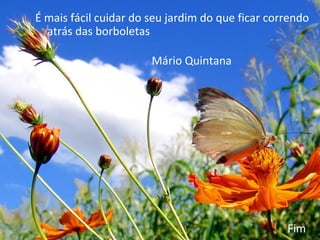 Mário Quintana É mais fácil cuidar do seu jardim do que ficar correndo atrás das borboletas Fim 