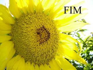 FIM 