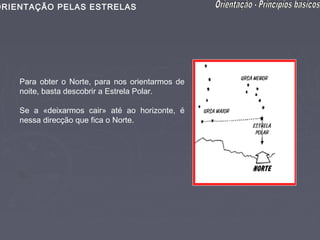 ORIENTAÇÃO PELAS ESTRELAS




    Para obter o Norte, para nos orientarmos de
    noite, basta descobrir a Estrela Polar.

    Se a «deixarmos cair» até ao horizonte, é
    nessa direcção que fica o Norte.
 