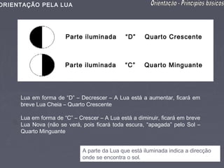 ORIENTAÇÃO PELA LUA




                      Parte iluminada         “D”    Quarto Crescente



                      Parte iluminada        “C”     Quarto Minguante




     Lua em forma de “D” – Decrescer – A Lua está a aumentar, ficará em
     breve Lua Cheia – Quarto Crescente

     Lua em forma de “C” – Crescer – A Lua está a diminuir, ficará em breve
     Lua Nova (não se verá, pois ficará toda escura, “apagada” pelo Sol –
     Quarto Minguante


                             A parte da Lua que está iluminada indica a direcção
                             onde se encontra o sol.
 