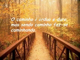 O caminho  é   á rduo e duro, mas sendo caminho faz-se caminhando. 