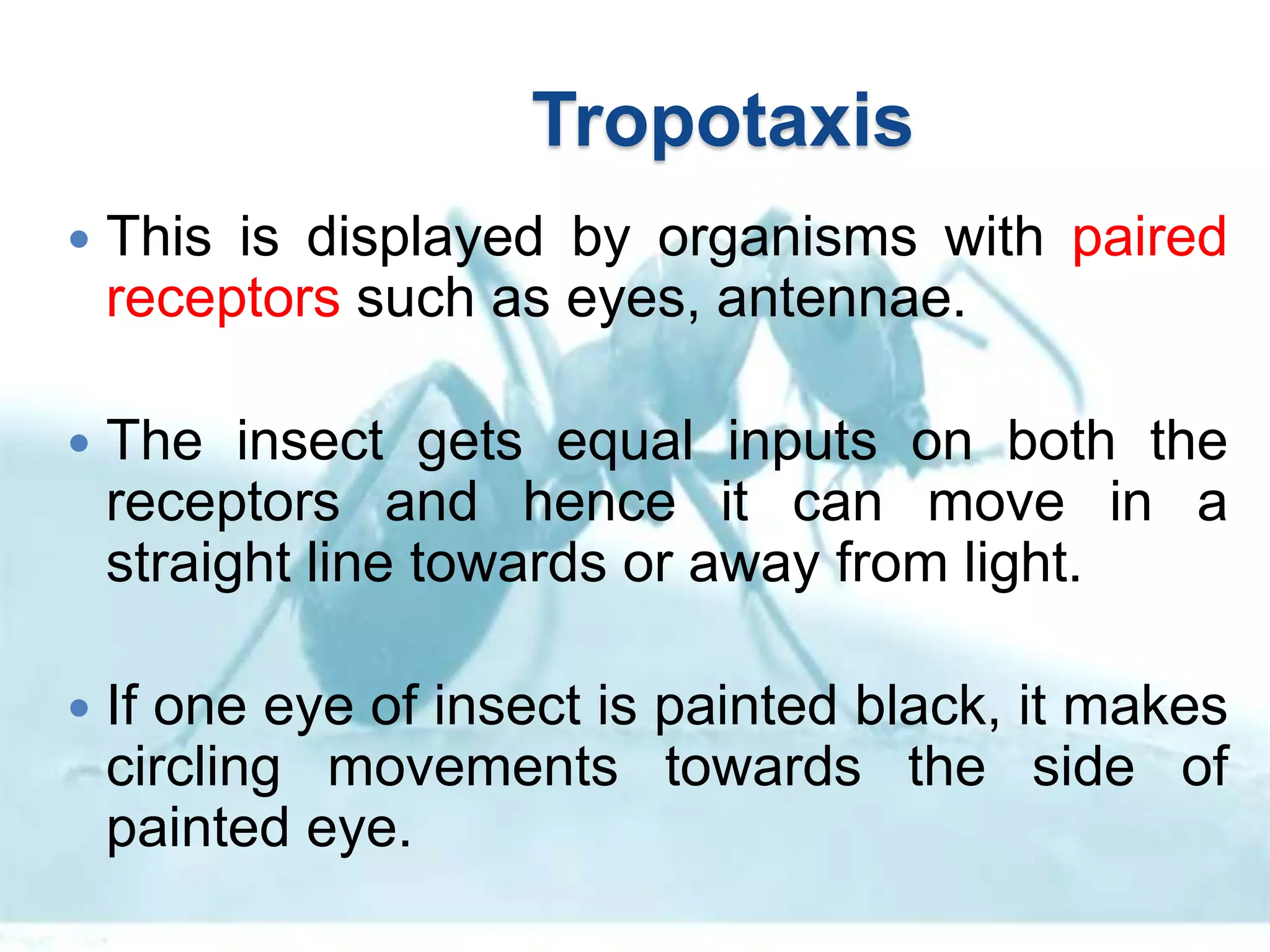 Tropotaxis
 This is displayed by organisms with paired
receptors such as eyes, antennae.
 The insect gets equal inputs on both the
receptors and hence it can move in a
straight line towards or away from light.
 If one eye of insect is painted black, it makes
circling movements towards the side of
painted eye.
 