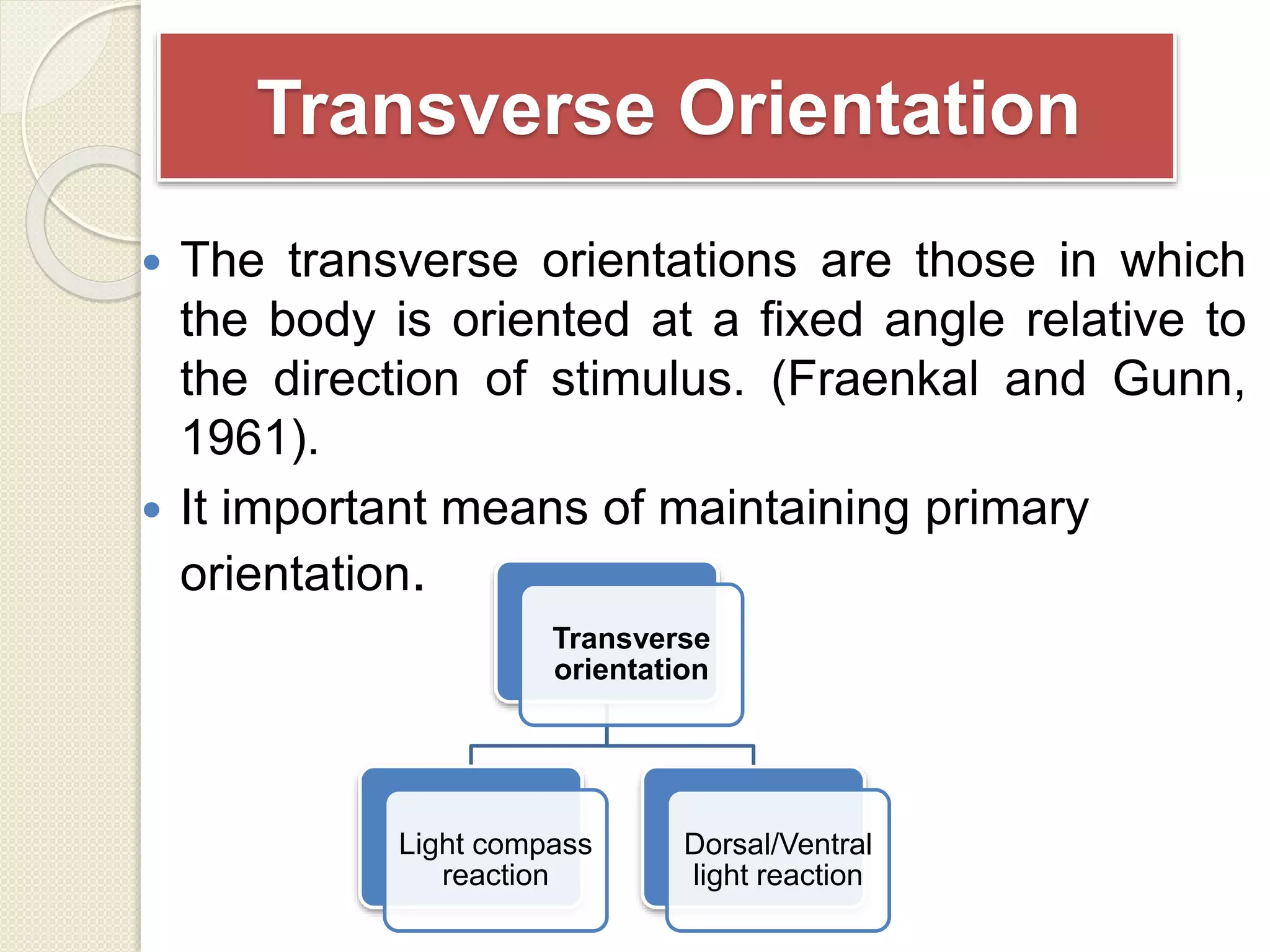 Transverse Orientation
 The transverse orientations are those in which
the body is oriented at a fixed angle relative to
the direction of stimulus. (Fraenkal and Gunn,
1961).
 It important means of maintaining primary
orientation.
Transverse
orientation
Light compass
reaction
Dorsal/Ventral
light reaction
 