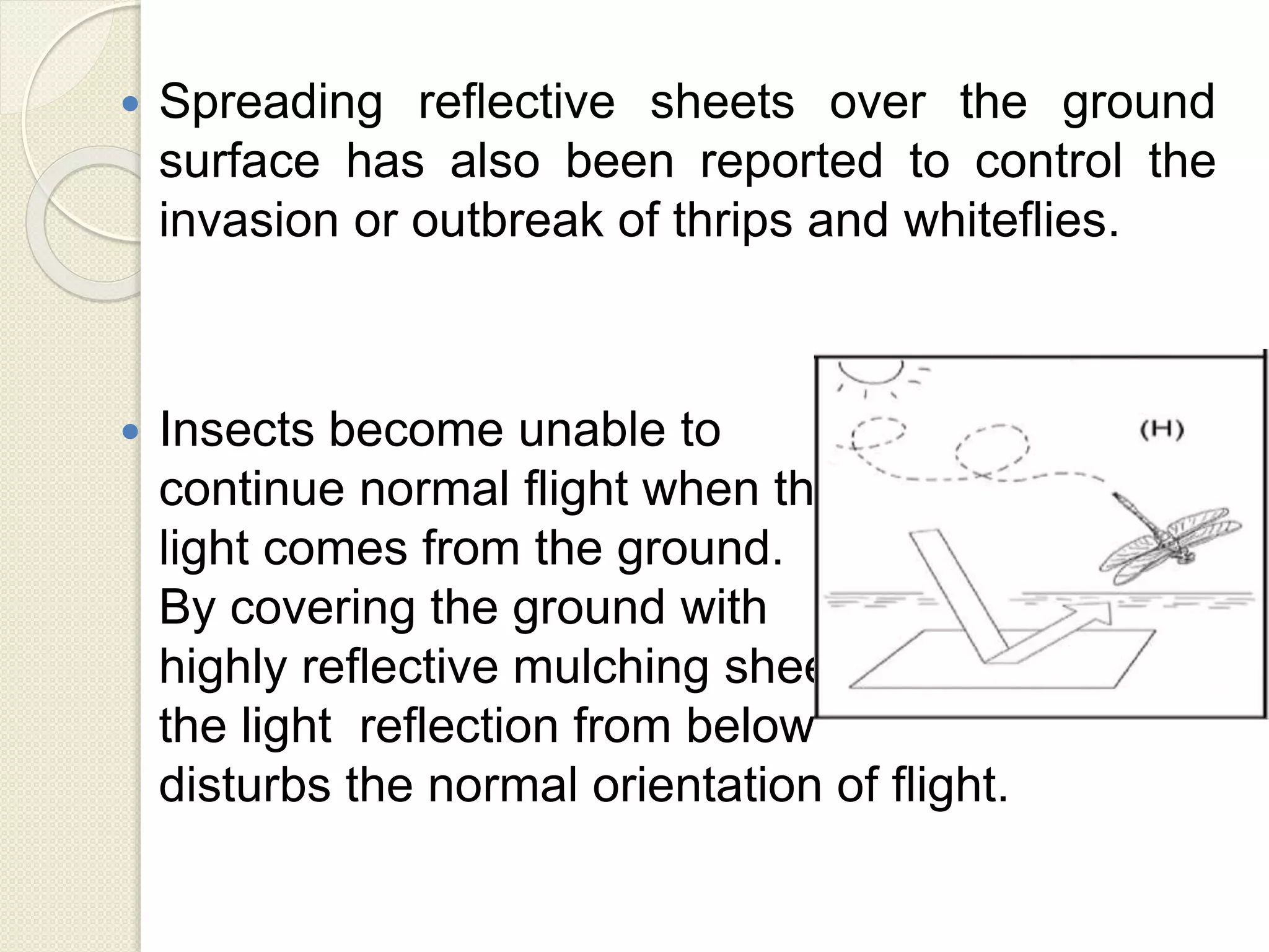  Spreading reflective sheets over the ground
surface has also been reported to control the
invasion or outbreak of thrips and whiteflies.
 Insects become unable to
continue normal flight when the
light comes from the ground.
By covering the ground with
highly reflective mulching sheet,
the light reflection from below
disturbs the normal orientation of flight.
 