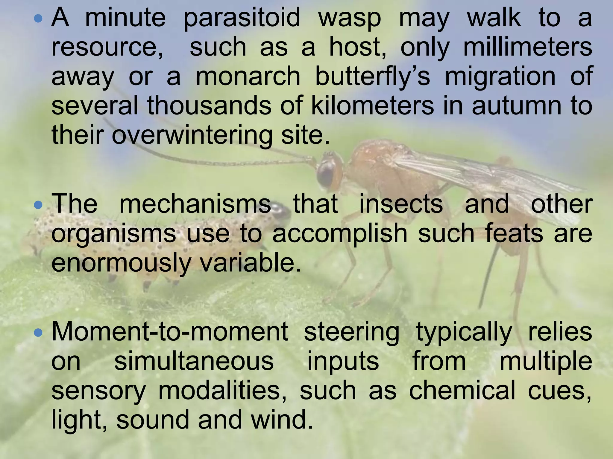  A minute parasitoid wasp may walk to a
resource, such as a host, only millimeters
away or a monarch butterfly’s migration of
several thousands of kilometers in autumn to
their overwintering site.
 The mechanisms that insects and other
organisms use to accomplish such feats are
enormously variable.
 Moment-to-moment steering typically relies
on simultaneous inputs from multiple
sensory modalities, such as chemical cues,
light, sound and wind.
 