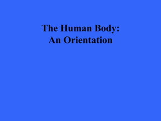 The Human Body:
An Orientation
 