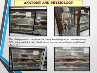 ANATOMY AND PHYSIOLOGY
This lab is prepared to reinforce the theory knowledge about human Anatomy
&Physiology with the help of articulated skeletal, various bones, models and
charts etc.
 
