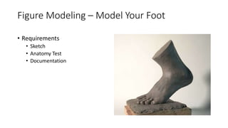 Figure Modeling – Model Your Foot
• Requirements
• Sketch
• Anatomy Test
• Documentation
 