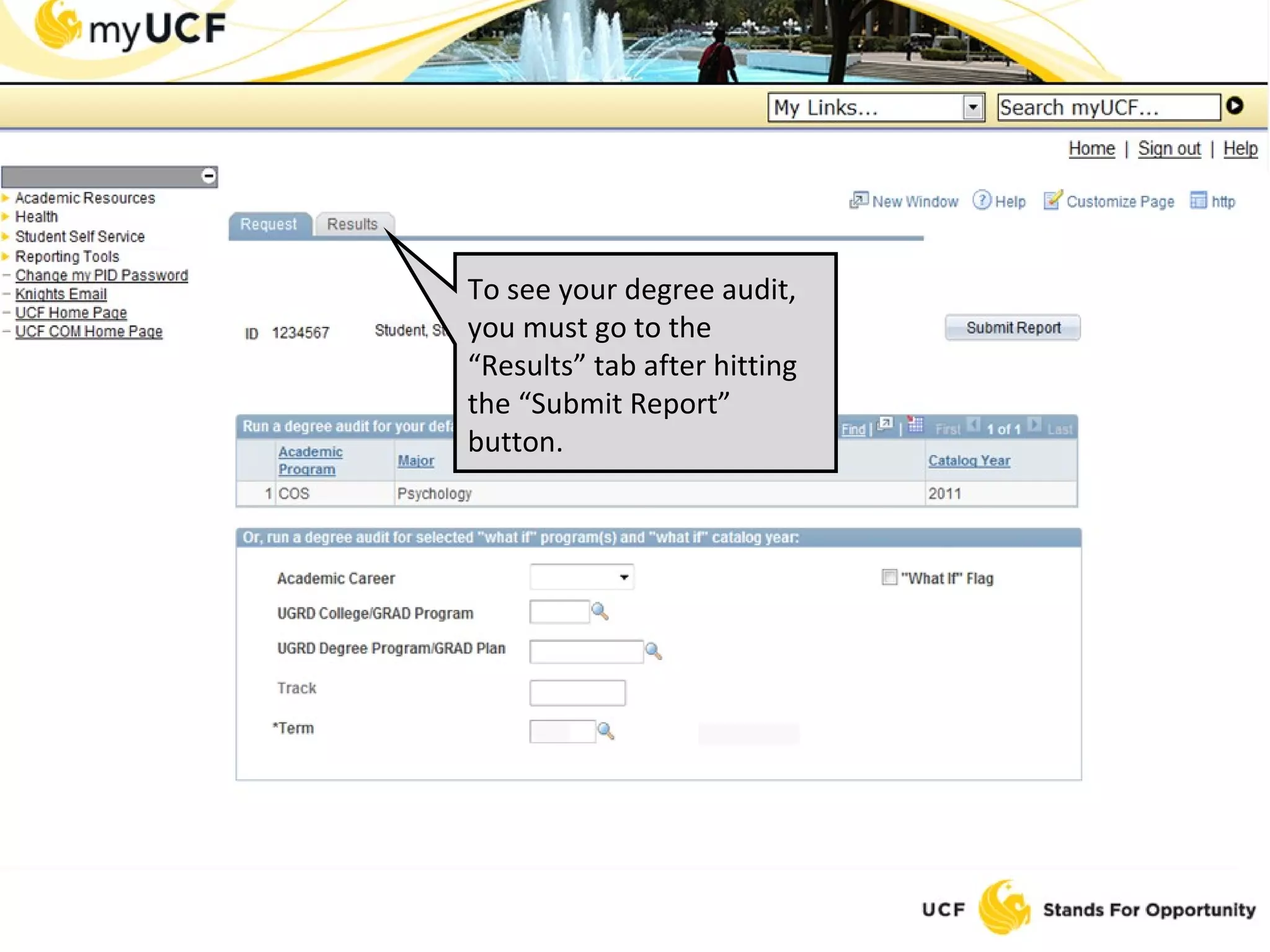 To see your degree audit, you must go to the “Results” tab after hitting the “Submit Report” button. 
