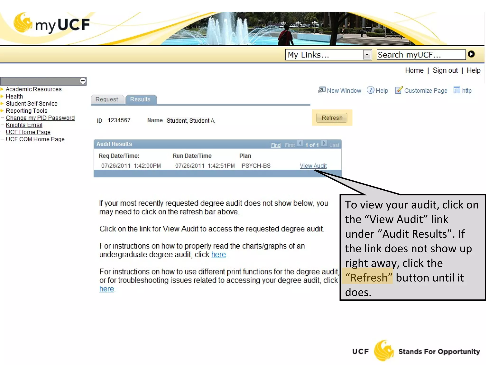 To view your audit, click on the “View Audit” link under “Audit Results”. If the link does not show up right away, click the “Refresh” button until it does. 