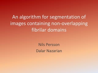 An algorithm for segmentation of 
images containing non-overlapping 
fibrilar domains 
Nils Persson 
Dalar Nazarian 
 