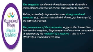 The amygdala, an almond-shaped structure in the brain’s
temporal lobe, attaches emotional significance to memories.
This is particularly important because strong emotional
memories (e.g. those associated with shame, joy, love or grief)
are difficult to forget.
The permanence of these memories suggests that interactions
between the amygdala, hippocampus and neocortex are crucial
in determining the ‘stability’ of a memory – that is, how
effectively it is retained over time.
 