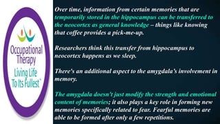 Over time, information from certain memories that are
temporarily stored in the hippocampus can be transferred to
the neocortex as general knowledge – things like knowing
that coffee provides a pick-me-up.
Researchers think this transfer from hippocampus to
neocortex happens as we sleep.
There's an additional aspect to the amygdala’s involvement in
memory.
The amygdala doesn't just modify the strength and emotional
content of memories; it also plays a key role in forming new
memories specifically related to fear. Fearful memories are
able to be formed after only a few repetitions.
 