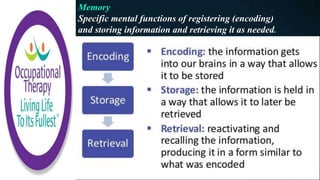 Memory
Specific mental functions of registering (encoding)
and storing information and retrieving it as needed.
 