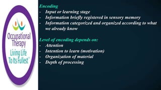 Encoding
- Input or learning stage
- Information briefly registered in sensory memory
- Information categorized and organized according to what
we already know
Level of encoding depends on:
- Attention
- Intention to learn (motivation)
- Organization of material
- Depth of processing
 