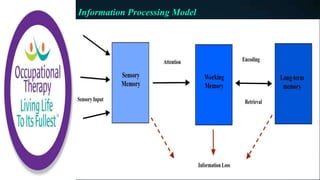 Information Processing Model
 