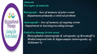 Amnesia
Two types of amnesia
Retrograde – loss of memory of prior events
- Impairment primarily a retrieval problem
Anterograde – loss of memory of ongoing events
▫ Impairment in learning/encoding/storage
Linked to damage in two areas
- Diencephalon (anterograde & retrograde; eg Korsakoff’s)
- Medial temporal lobe & hippocampus (anterograde; eg
Alzhiemer’s)
 