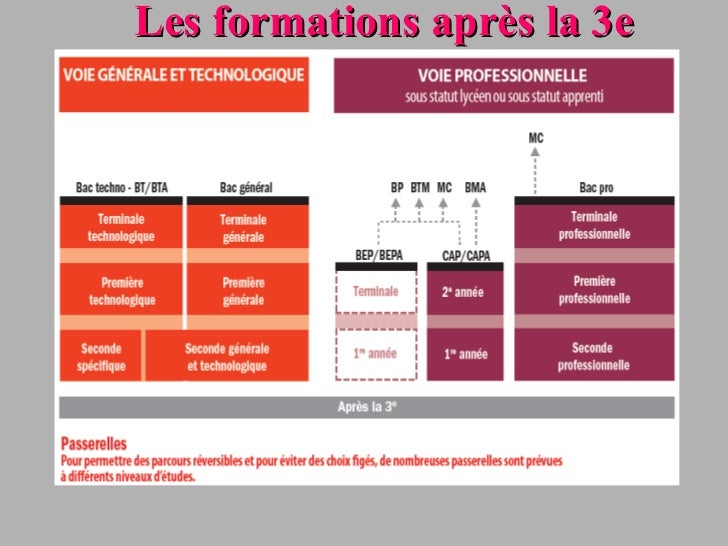 Schéma Des études Après La 3ème 2020