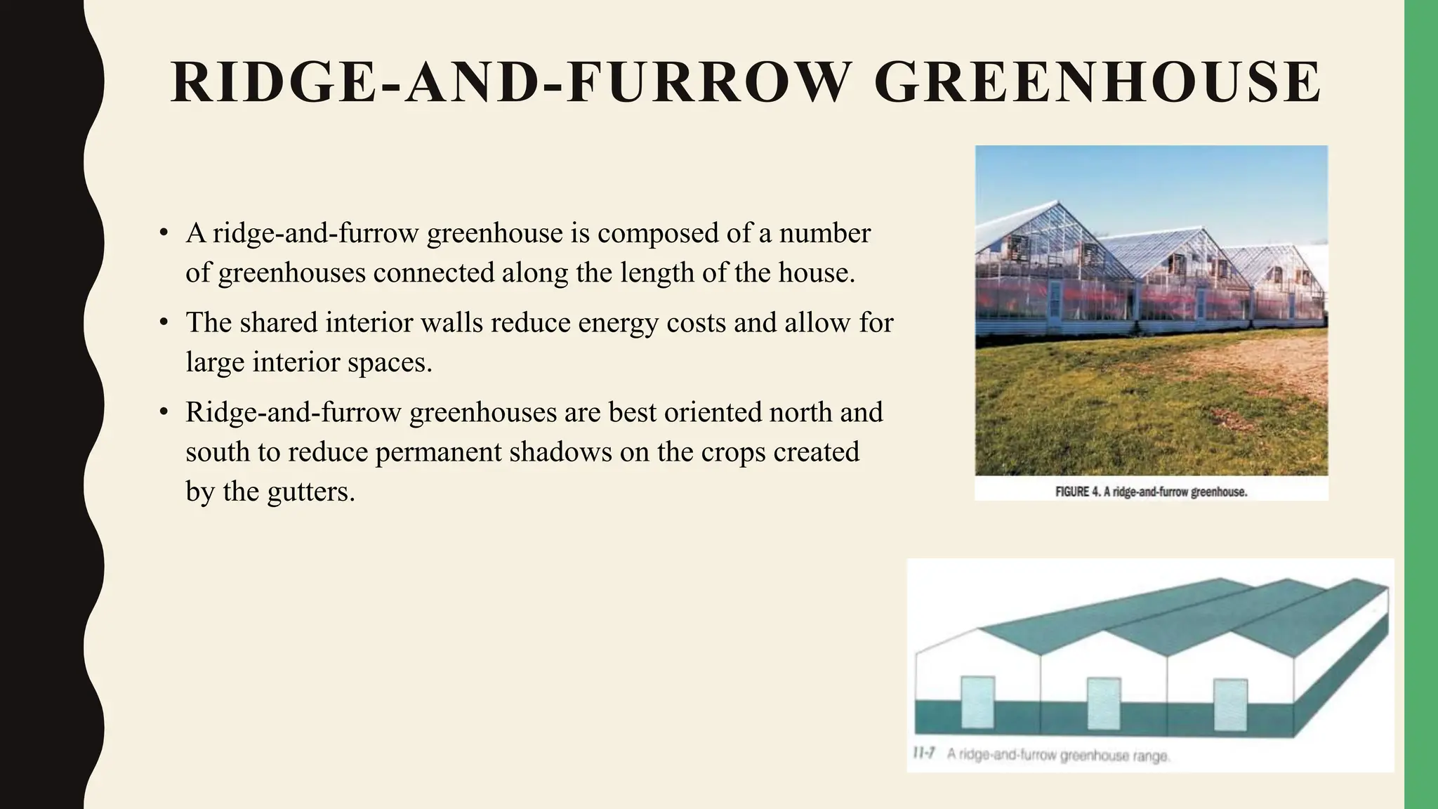 RIDGE-AND-FURROW GREENHOUSE
• A ridge-and-furrow greenhouse is composed of a number
of greenhouses connected along the length of the house.
• The shared interior walls reduce energy costs and allow for
large interior spaces.
• Ridge-and-furrow greenhouses are best oriented north and
south to reduce permanent shadows on the crops created
by the gutters.
 