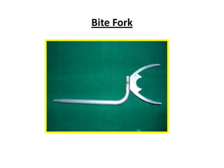Bite Fork
 