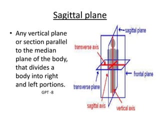 Sagittal plane
• Any vertical plane
or section parallel
to the median
plane of the body,
that divides a
body into right
and left portions.
GPT -8
 