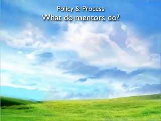 Policy & Process
What do mentors do?
 