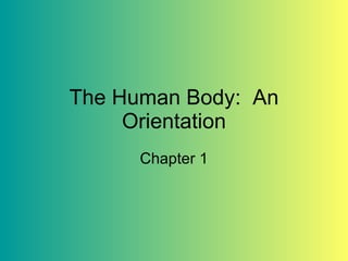 The Human Body:  An Orientation Chapter 1 