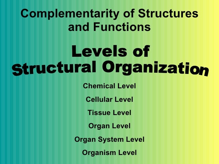 the reactions occur molecular chemical how level on Orientation Body Human Of